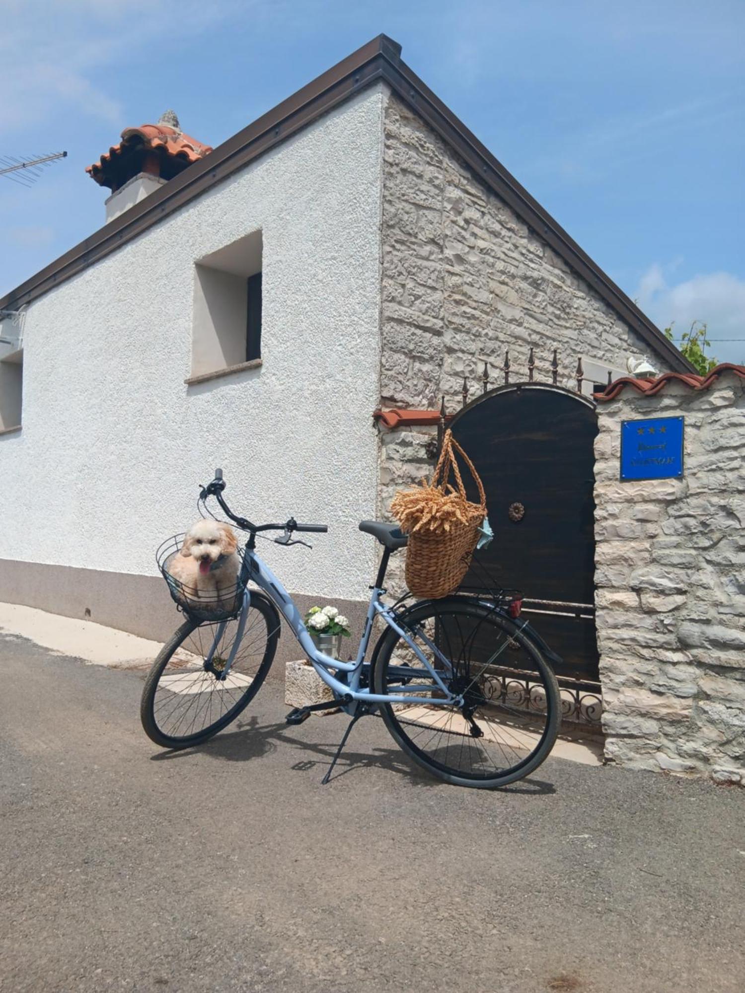 Authentic Istria&Pet Friendly Apartment Banko Near Rovinj Kanfanar Exterior foto